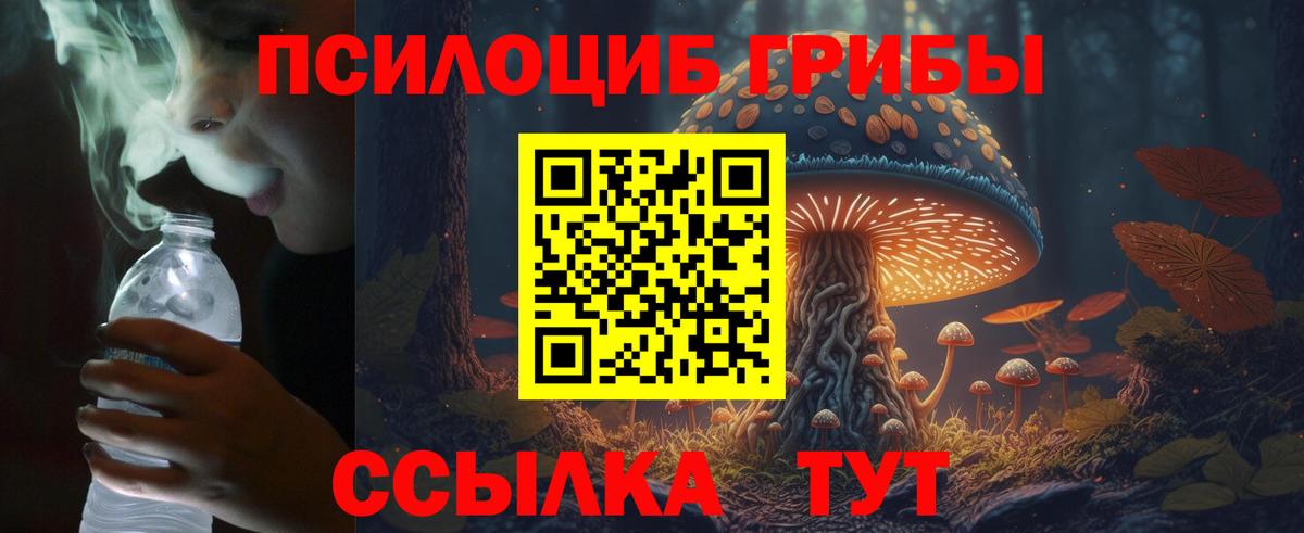 Звенигород  Галлюциногенные грибы мицелий  Вход с VPN 