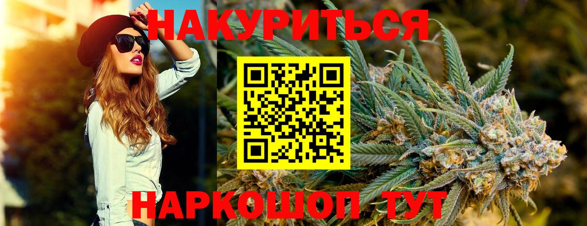 Конопля планчик Звенигород